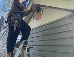 Best Siding Painting and Refinishing  in Alum Rock, CA